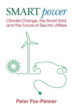 Cover of the book Smart Power by National Council for Science and the Environment