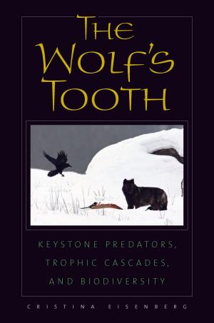 Book cover of The Wolf's Tooth