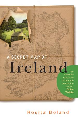 Cover of the book A Secret Map of Ireland by Maura Rooney Hitzenbuhler