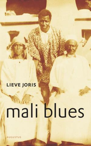 Cover of the book Mali blues by Gerrit Jan Zwier