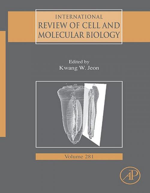 Cover of the book International Review of Cell and Molecular Biology by , Elsevier Science