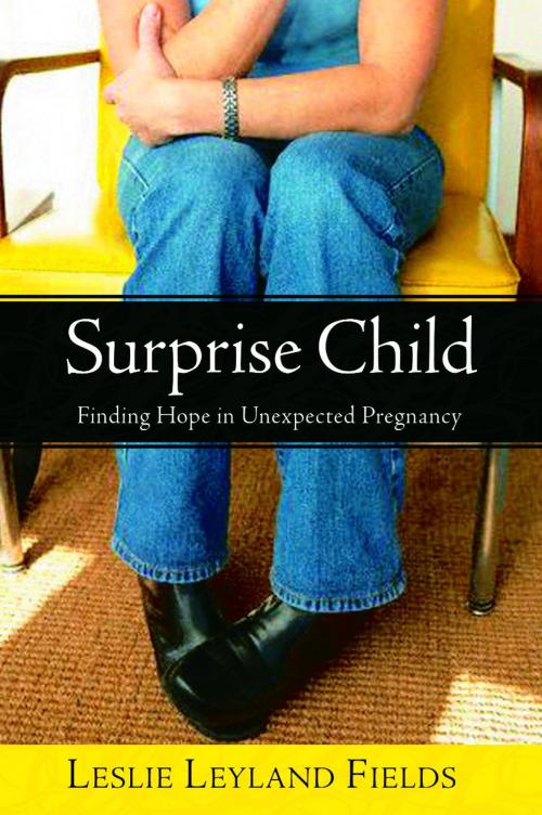 Cover of the book Surprise Child by Leslie Leyland Fields, The Crown Publishing Group