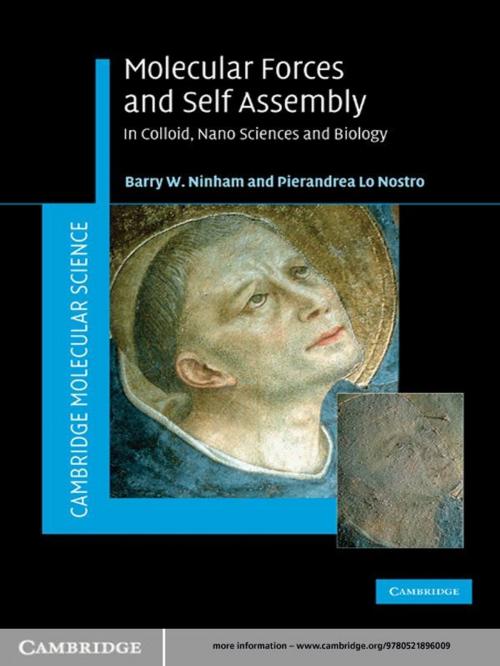 Cover of the book Molecular Forces and Self Assembly by Barry W. Ninham, Pierandrea Lo Nostro, Cambridge University Press