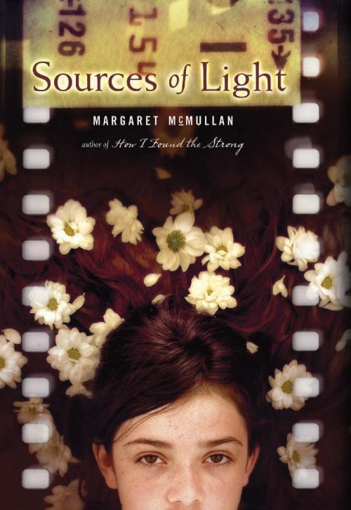 Cover of the book Sources of Light by Margaret McMullan, HMH Books