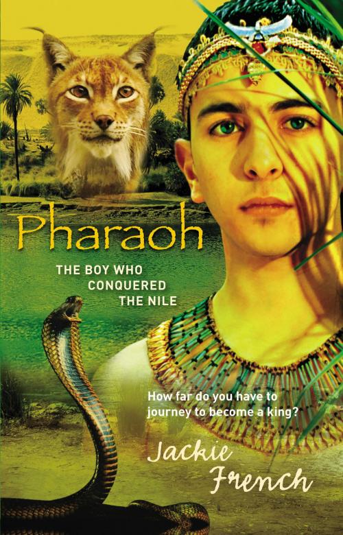 Cover of the book Pharaoh by Jackie French, HarperCollins