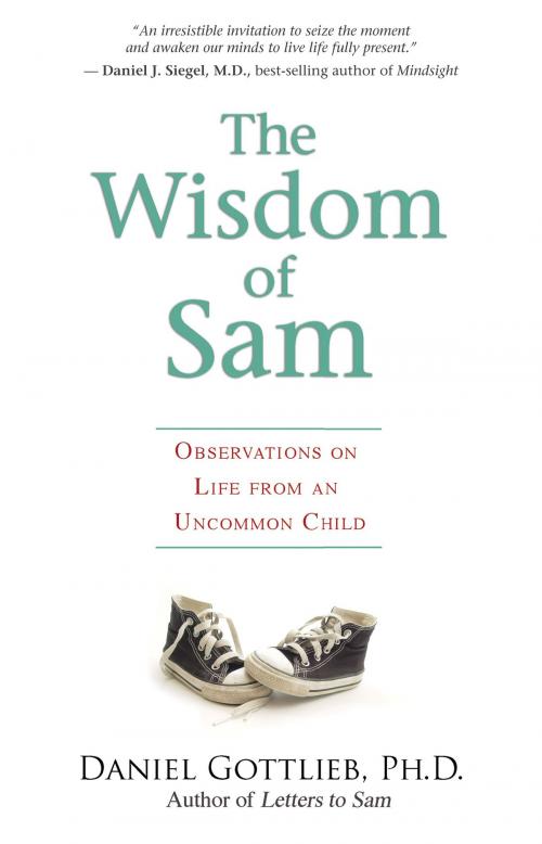 Cover of the book The Wisdom of Sam by Daniel Gottlieb, Ph.D., Hay House