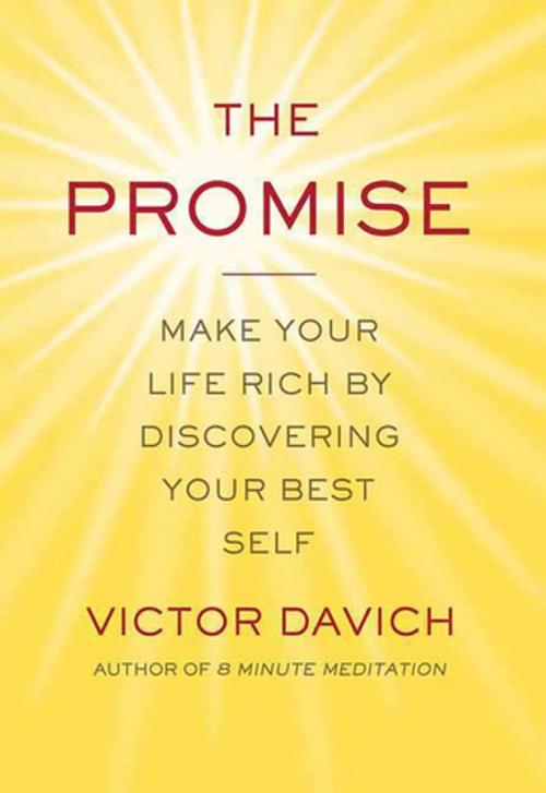 Cover of the book The Promise by Victor Davich, St. Martin's Publishing Group