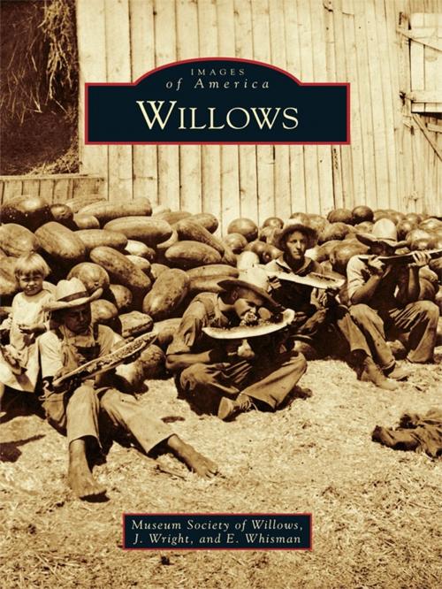 Cover of the book Willows by Museum Society of Willows, J. Wright, E. Whisman, Arcadia Publishing Inc.