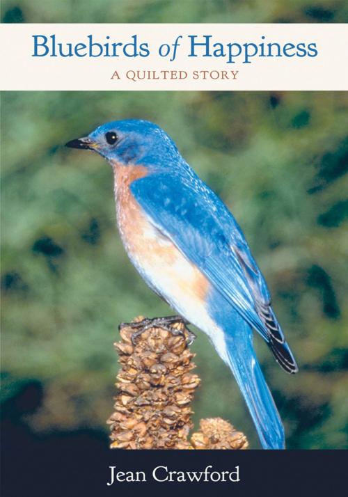 Cover of the book Bluebirds of Happiness by Jean Crawford, WestBow Press
