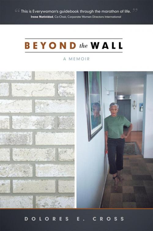 Cover of the book Beyond the Wall by Dolores E. Cross, WestBow Press