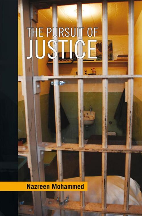 Cover of the book The Pursuit of Justice by Nazreen Mohammed, Xlibris US