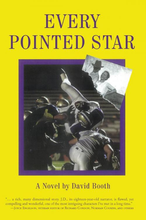 Cover of the book Every Pointed Star by David Booth, iUniverse