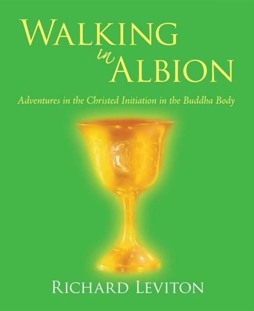 Cover of the book Walking in Albion by Richard Leviton, iUniverse