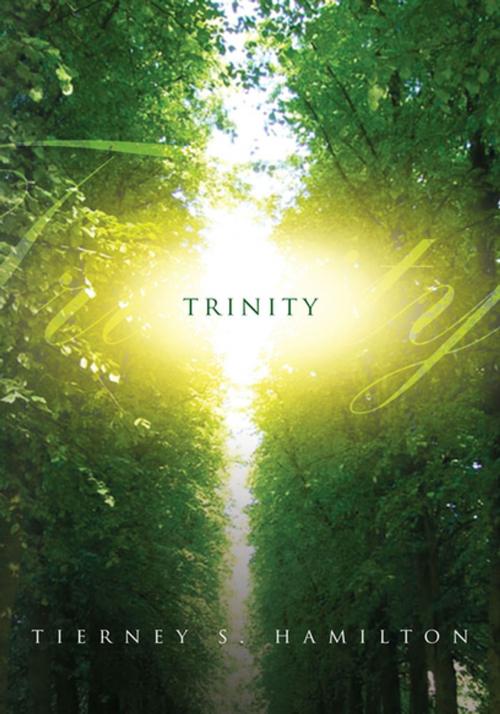 Cover of the book Trinity by Tierney S. Hamilton, Xlibris US