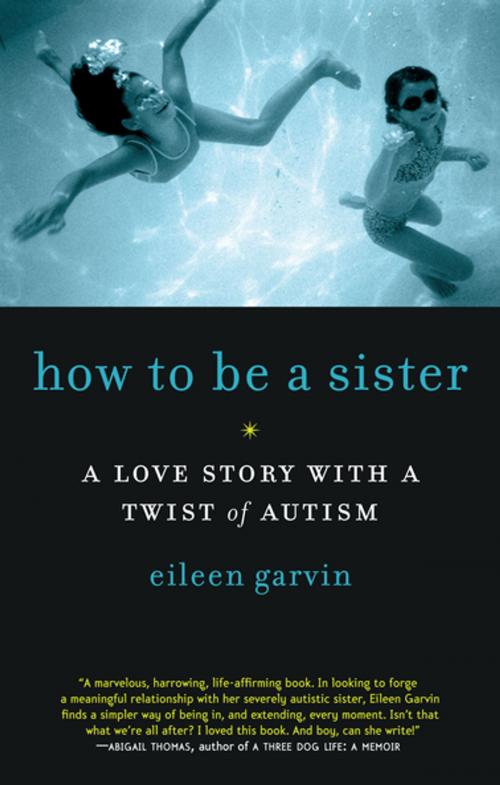 Cover of the book How to Be a Sister by Eileen Garvin, The Experiment