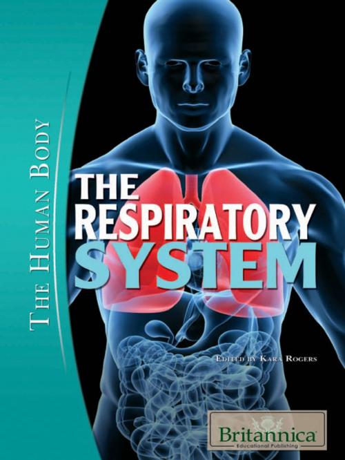 Cover of the book The Respiratory System by Kara Rogers, Britannica Educational Publishing