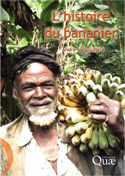Cover of the book L'histoire du bananier by André Lassoudière, Quae