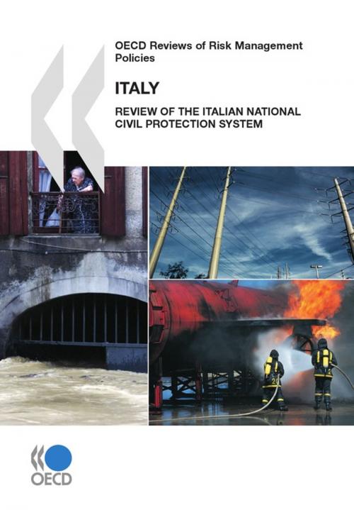 Cover of the book OECD Reviews of Risk Management Policies: Italy 2010 by Collective, OECD