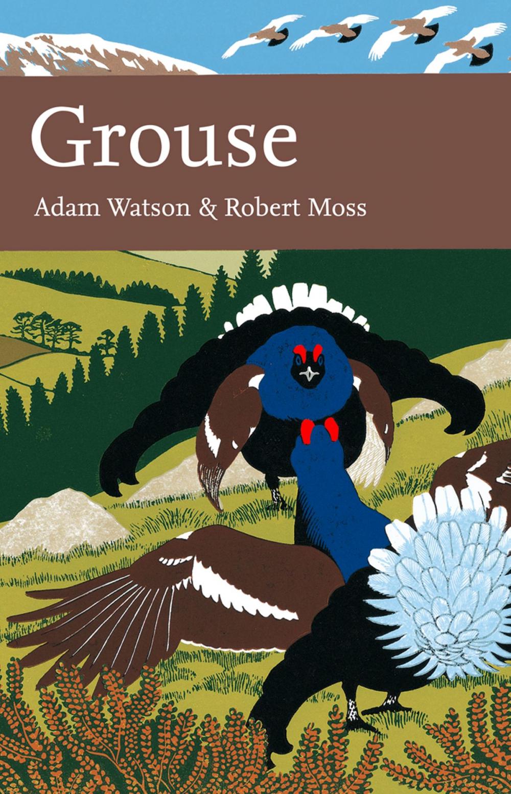 Big bigCover of Grouse (Collins New Naturalist Library, Book 107)