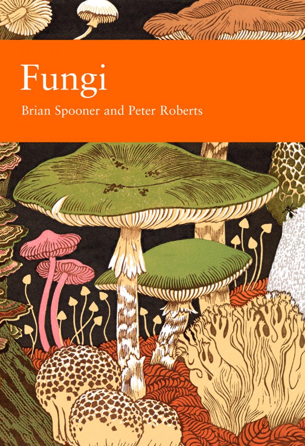 Big bigCover of Fungi (Collins New Naturalist Library, Book 96)