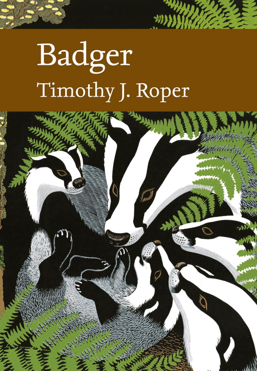 Big bigCover of Badger (Collins New Naturalist Library, Book 114)