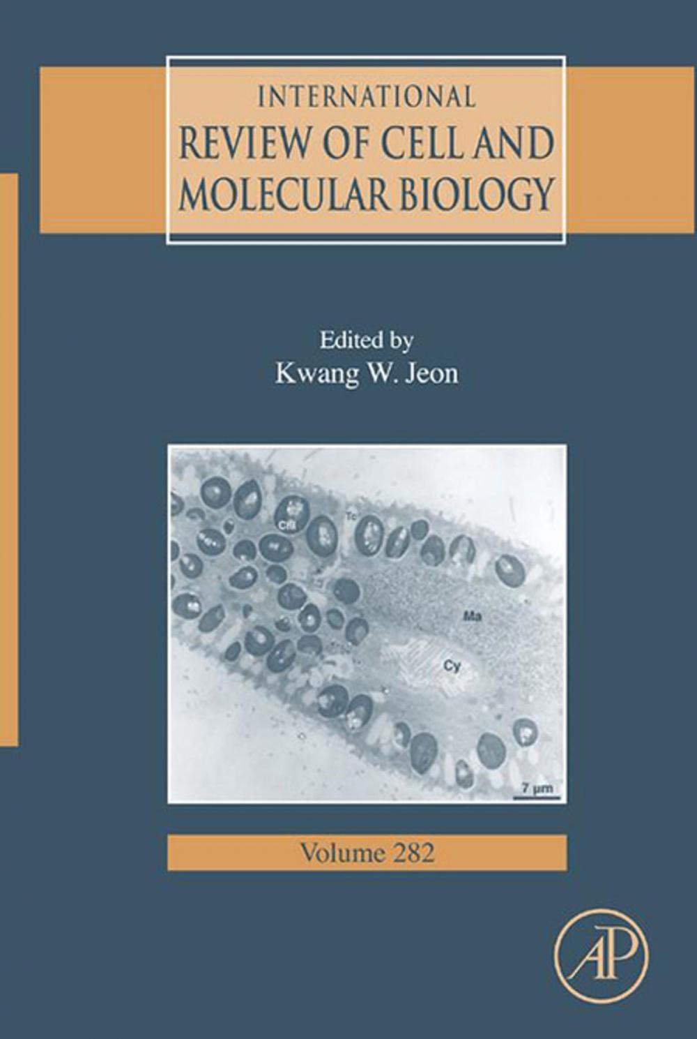 Big bigCover of International Review of Cell and Molecular Biology