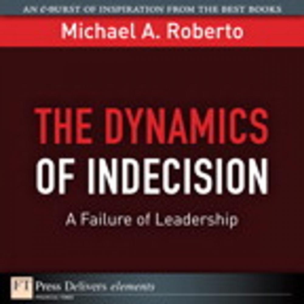 Big bigCover of The Dynamics of Indecision