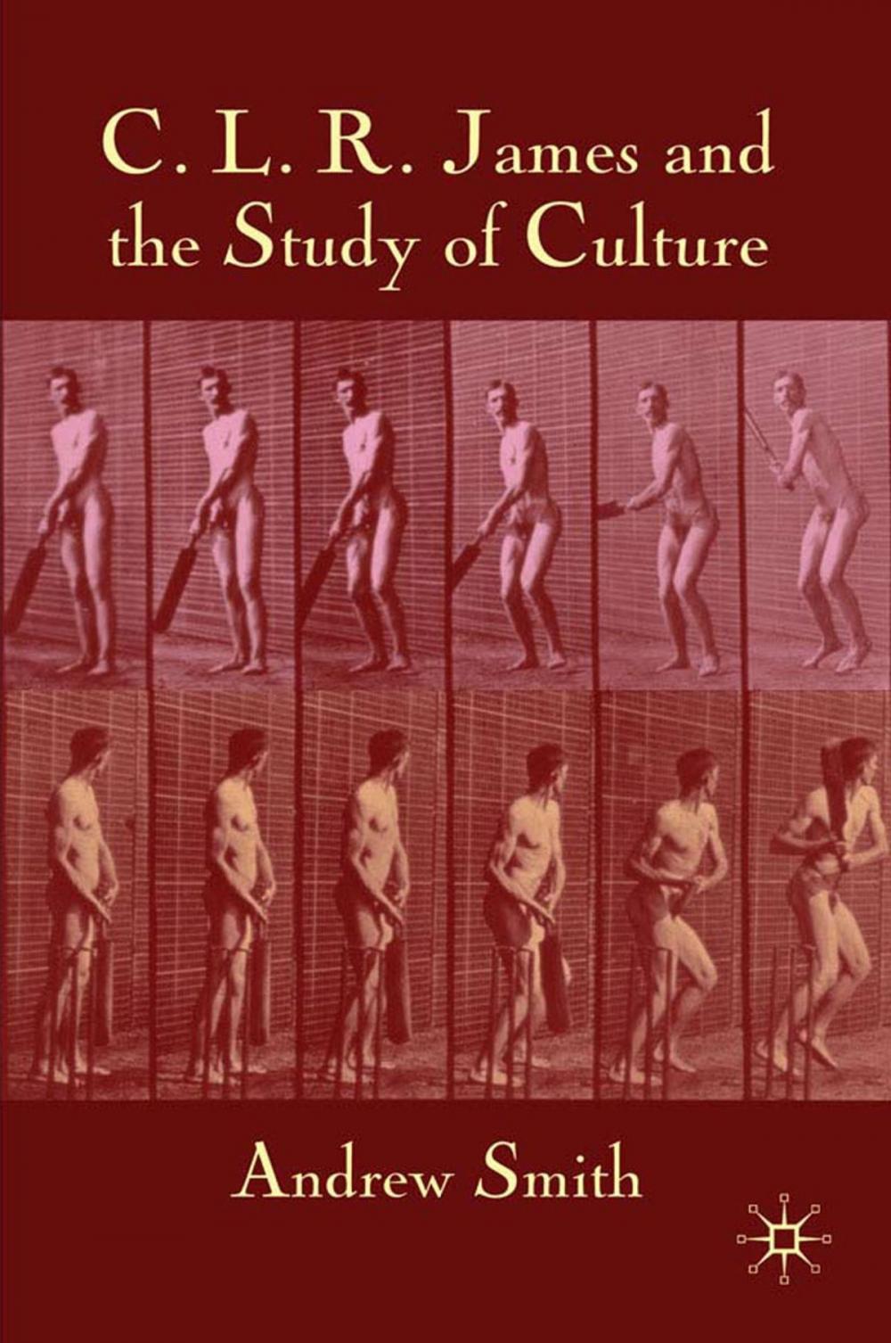 Big bigCover of C.L.R. James and the Study of Culture