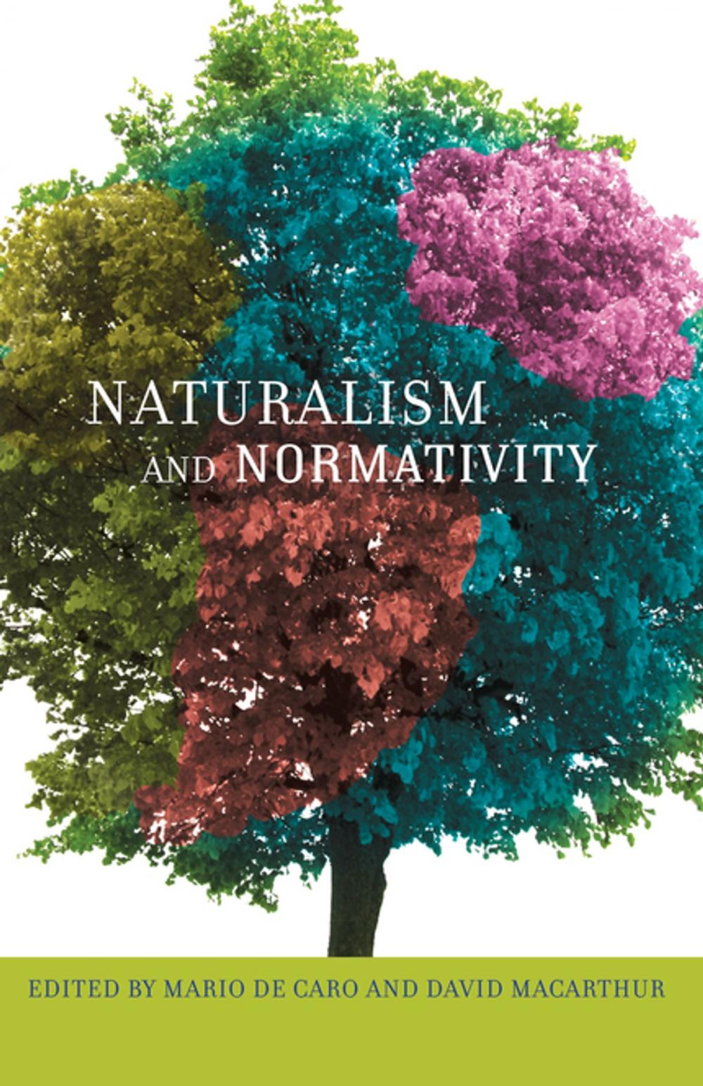 Big bigCover of Naturalism and Normativity