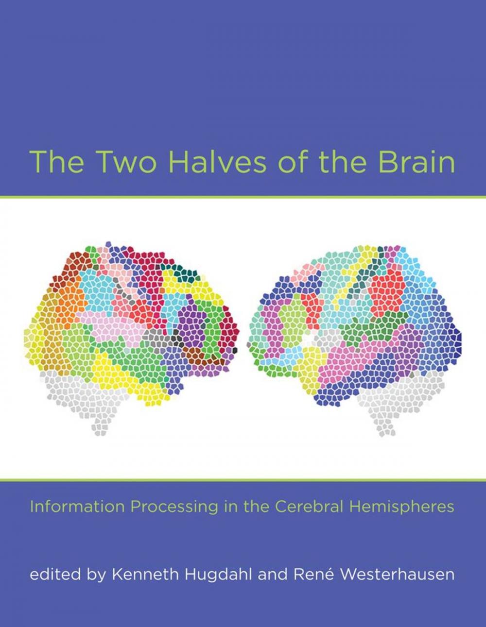 Big bigCover of The Two Halves of the Brain: Information Processing in the Cerebral Hemispheres