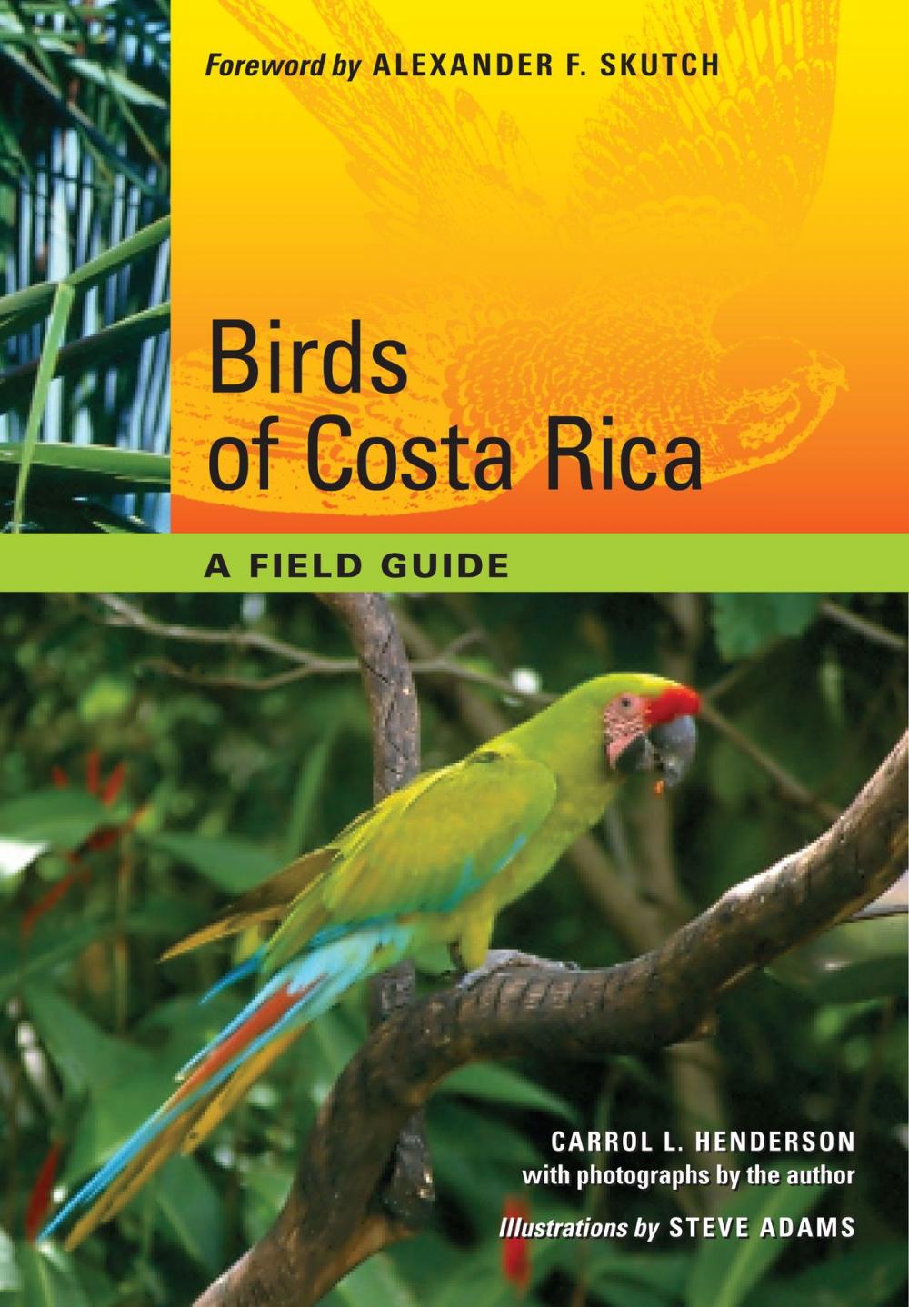 Big bigCover of Birds of Costa Rica