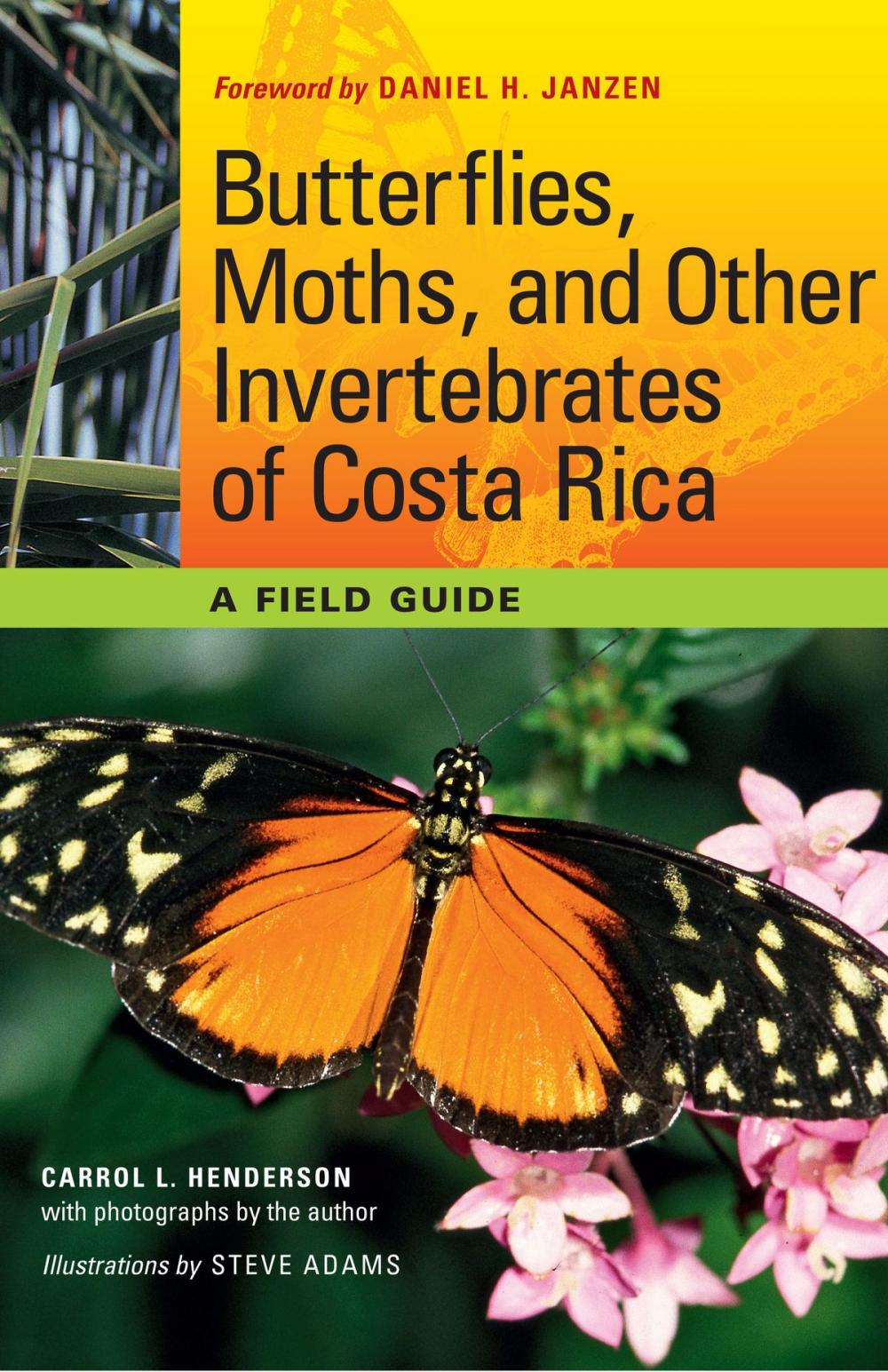 Big bigCover of Butterflies, Moths, and Other Invertebrates of Costa Rica