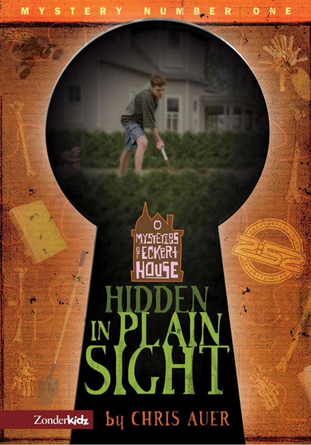 Big bigCover of Hidden in Plain Sight