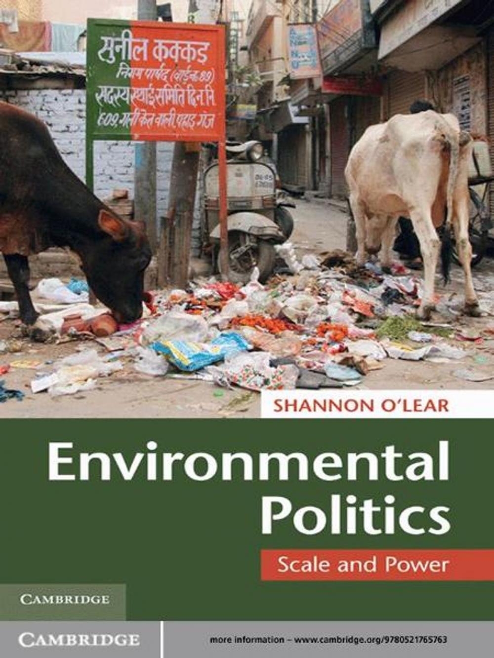 Big bigCover of Environmental Politics