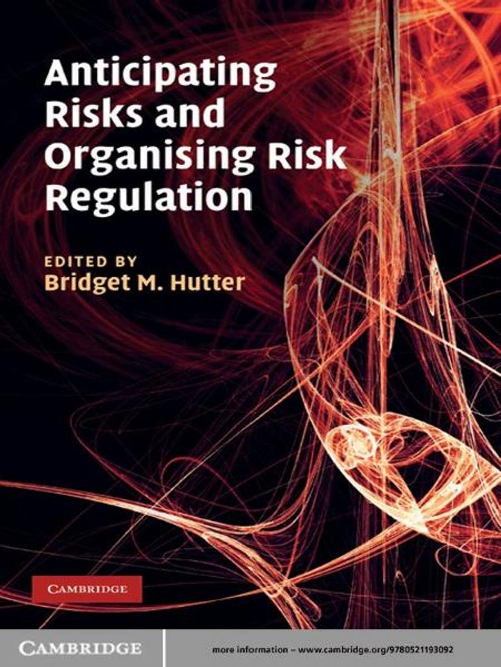 Big bigCover of Anticipating Risks and Organising Risk Regulation