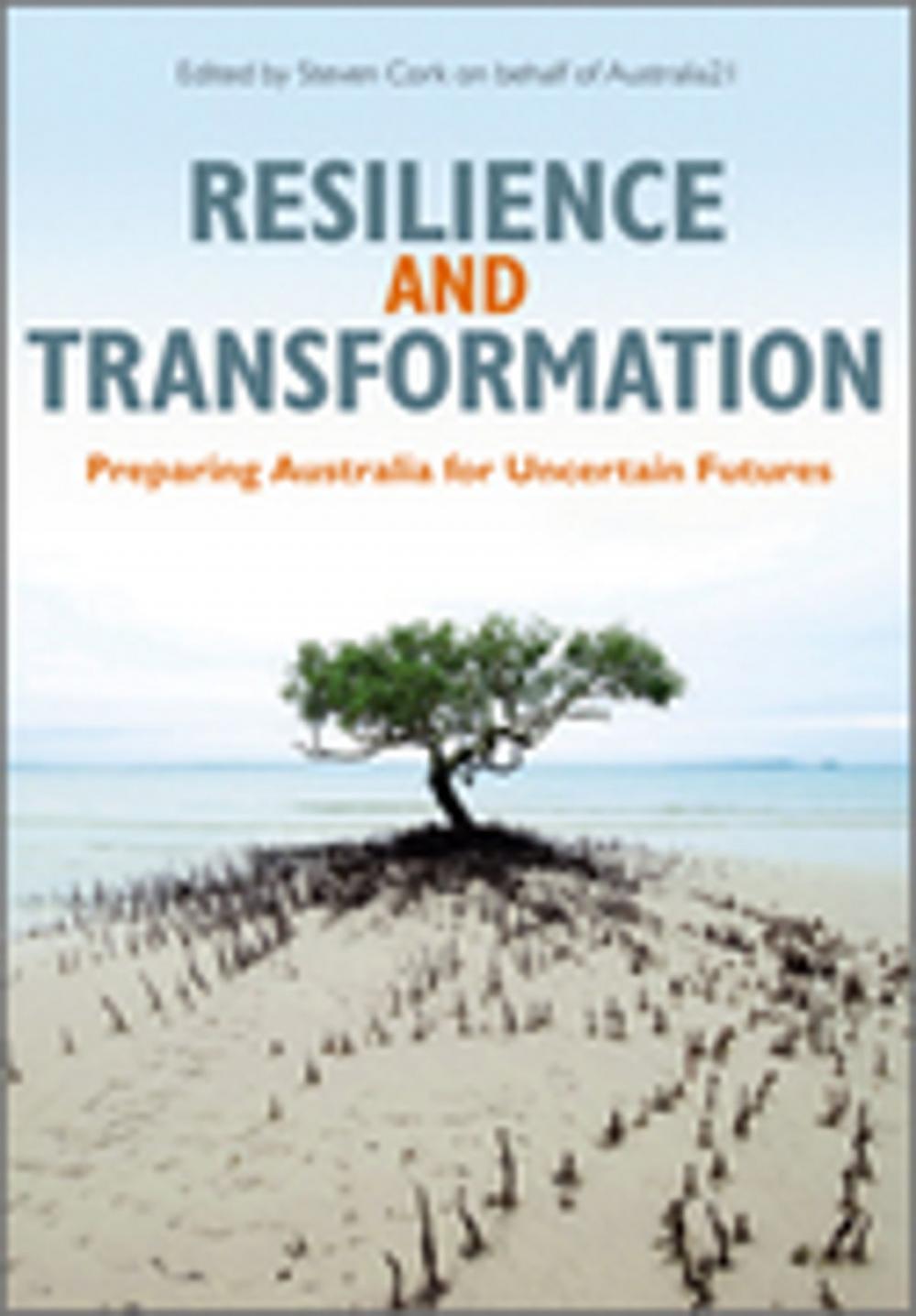 Big bigCover of Resilience and Transformation