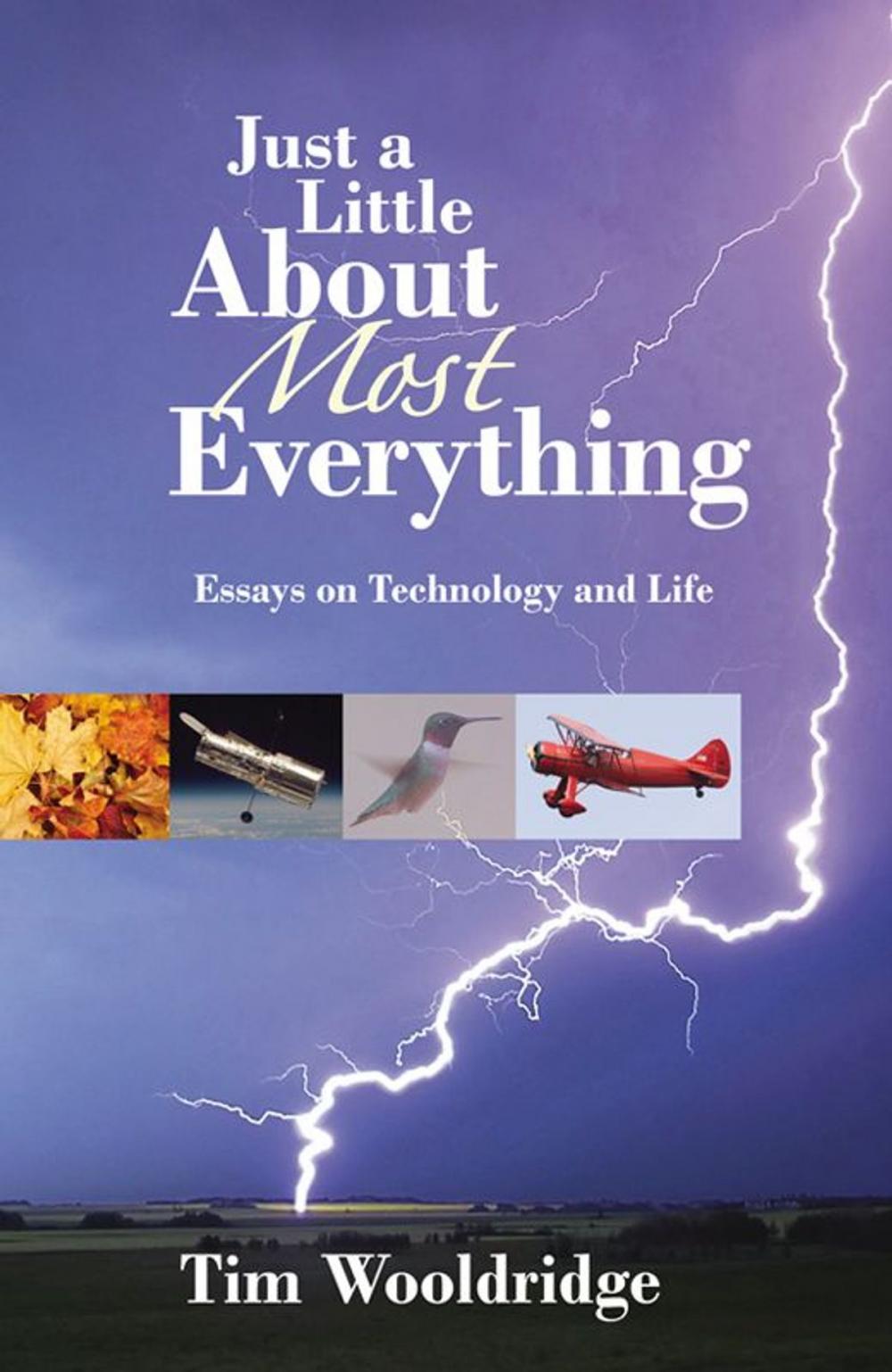 Big bigCover of Just A Little About Most Everything: Essays On Technology And Life