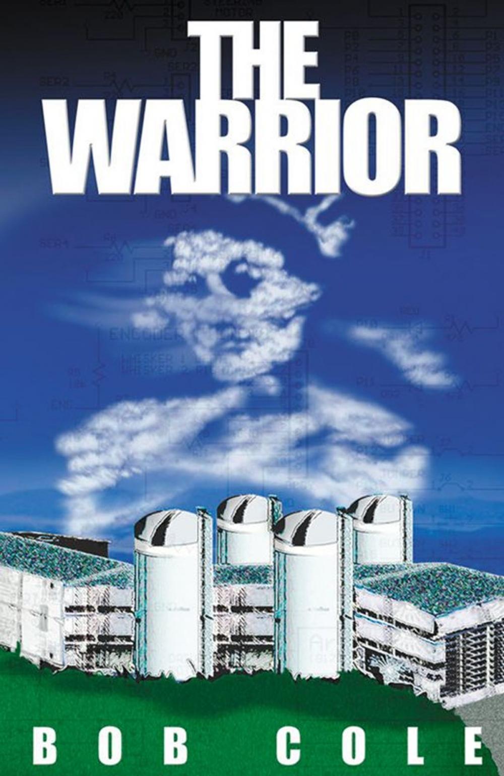 Big bigCover of The Warrior