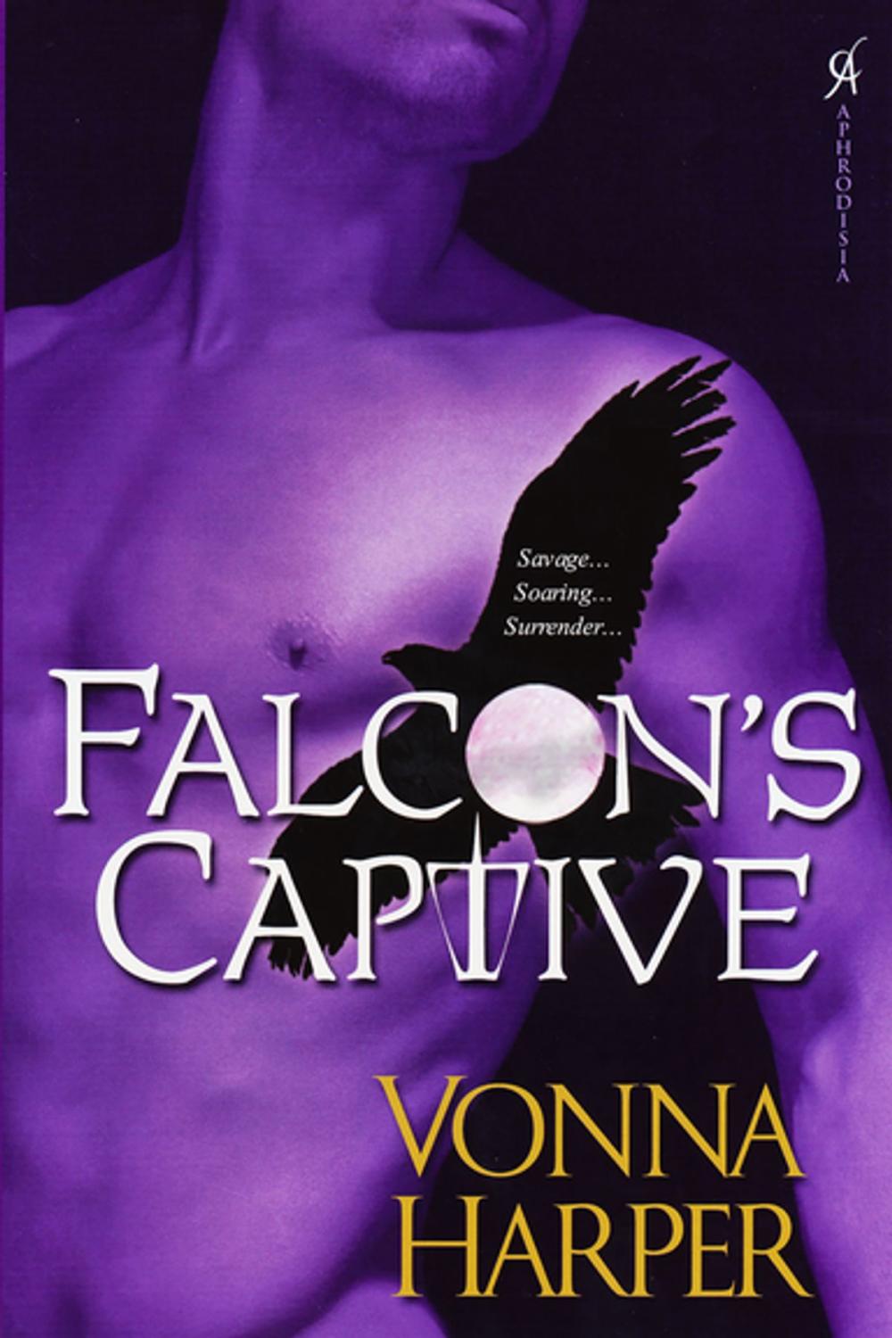 Big bigCover of Falcon's Captive