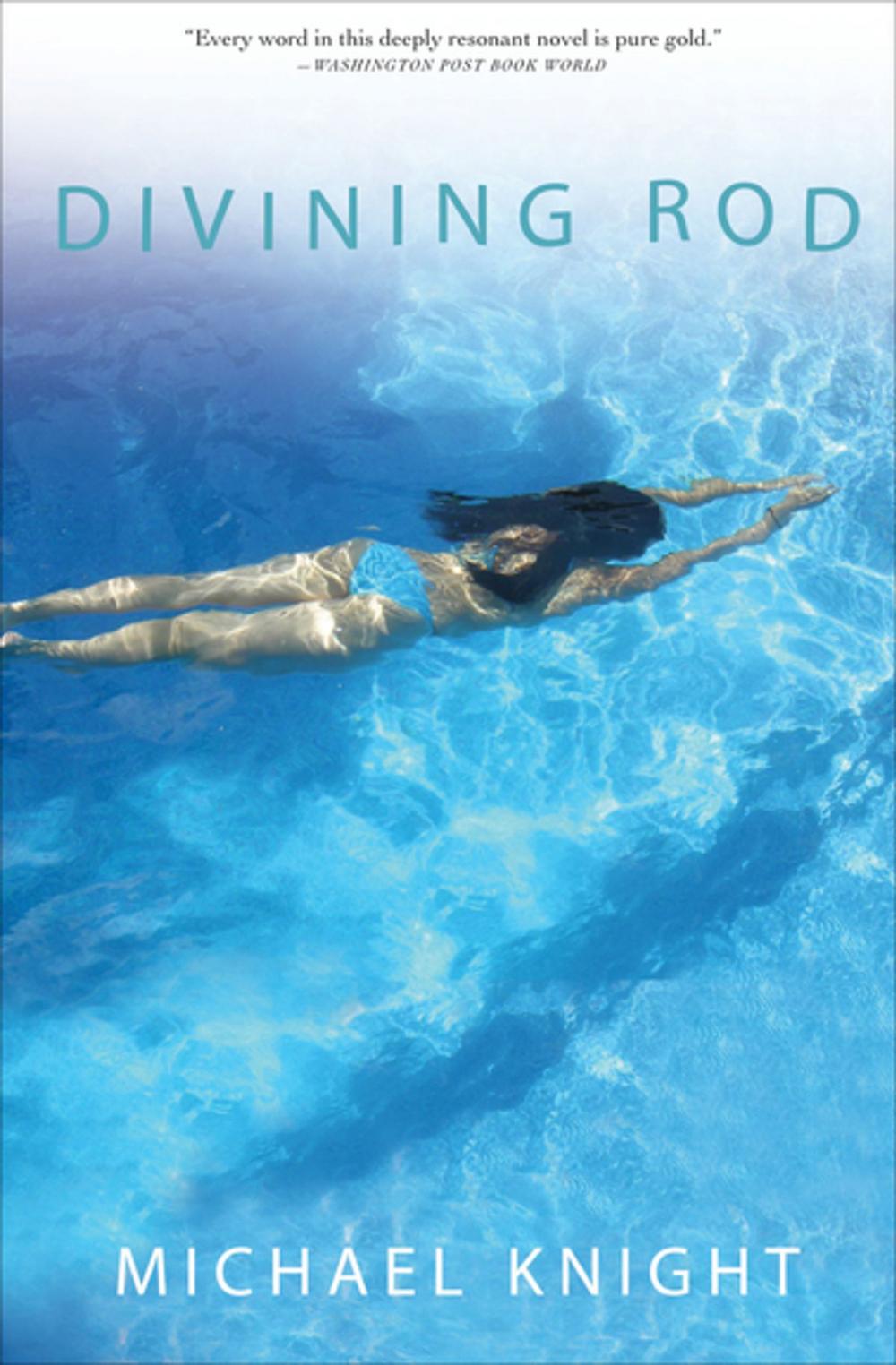 Big bigCover of Divining Rod