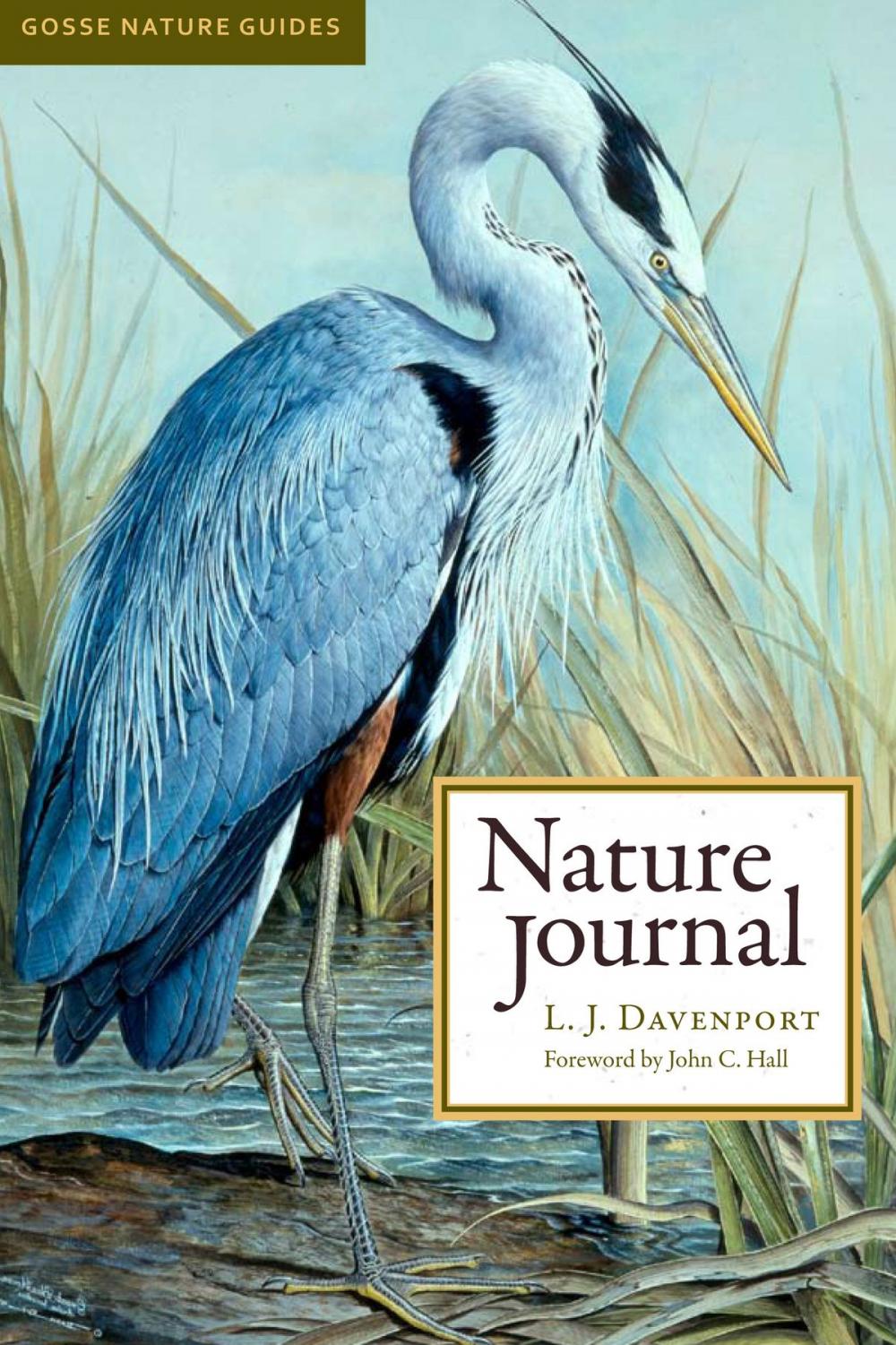 Big bigCover of Nature Journal