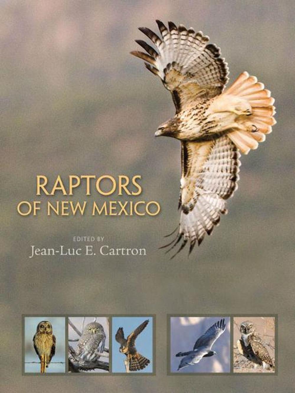 Big bigCover of Raptors of New Mexico