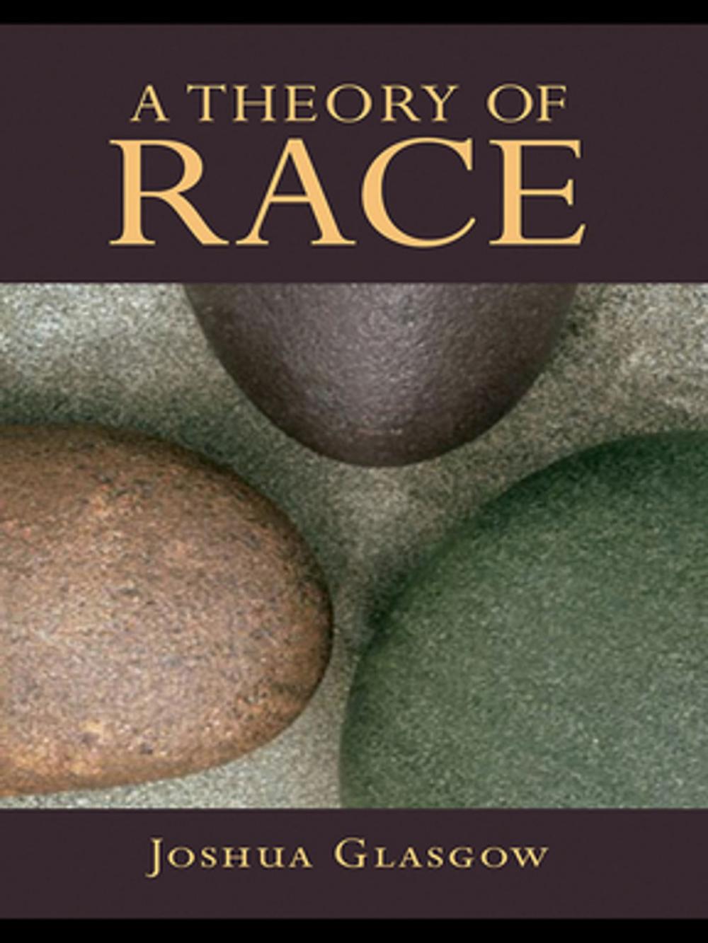 Big bigCover of A Theory of Race