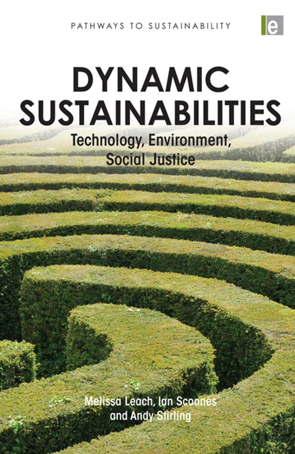 Big bigCover of Dynamic Sustainabilities