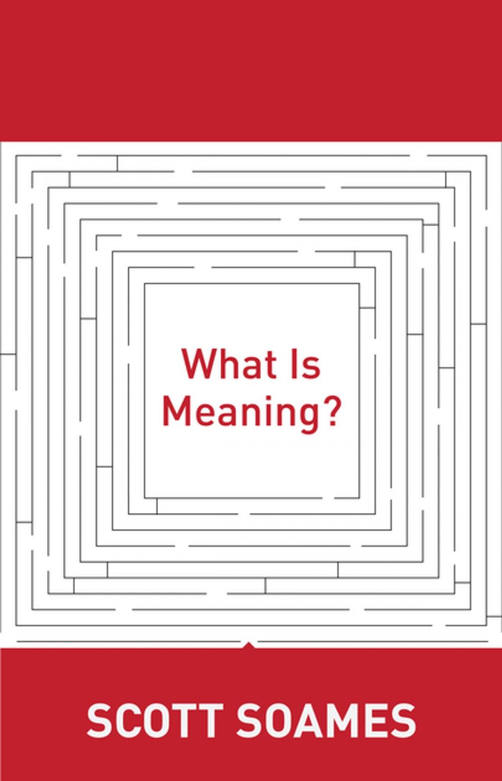 Big bigCover of What Is Meaning?