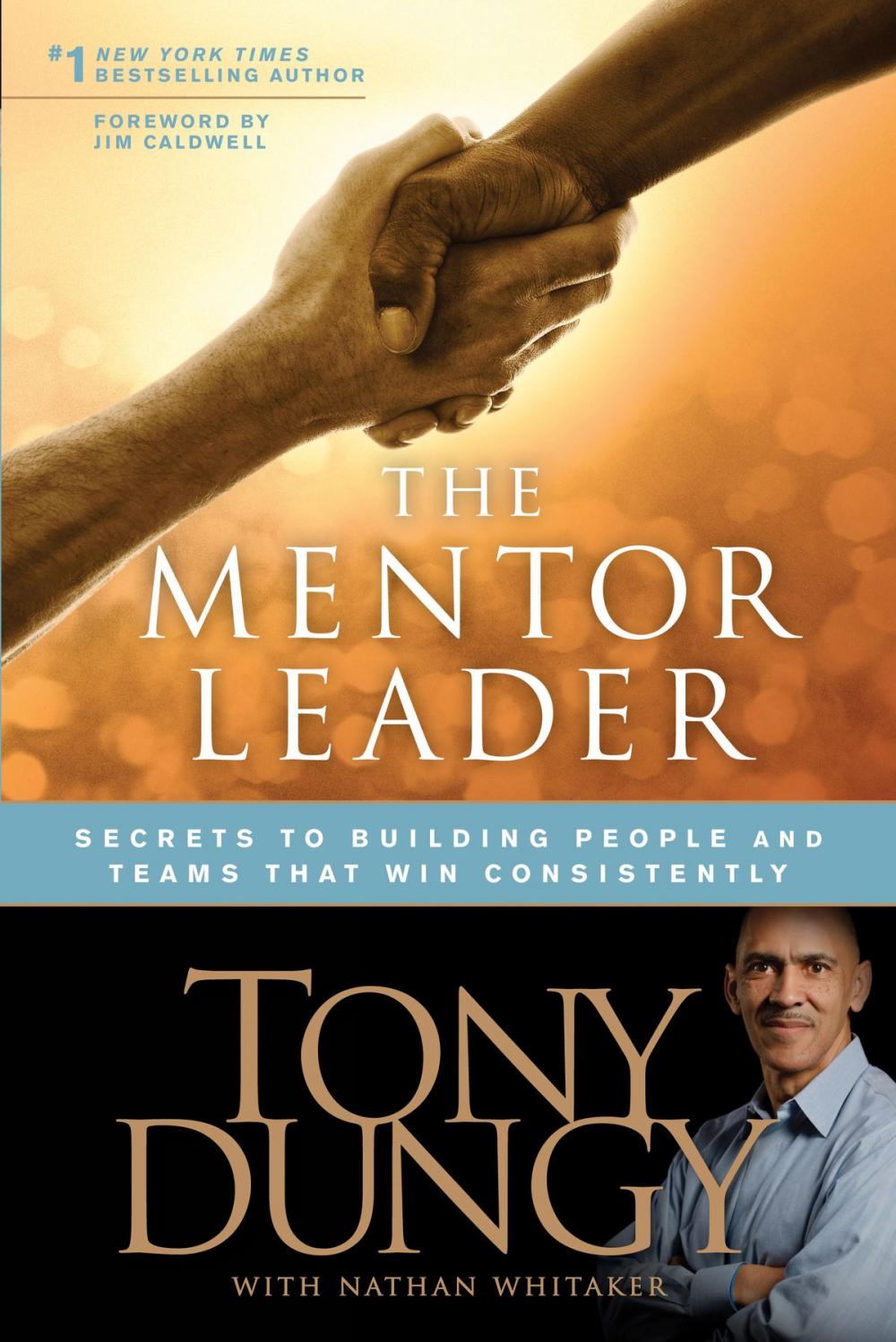 Big bigCover of The Mentor Leader