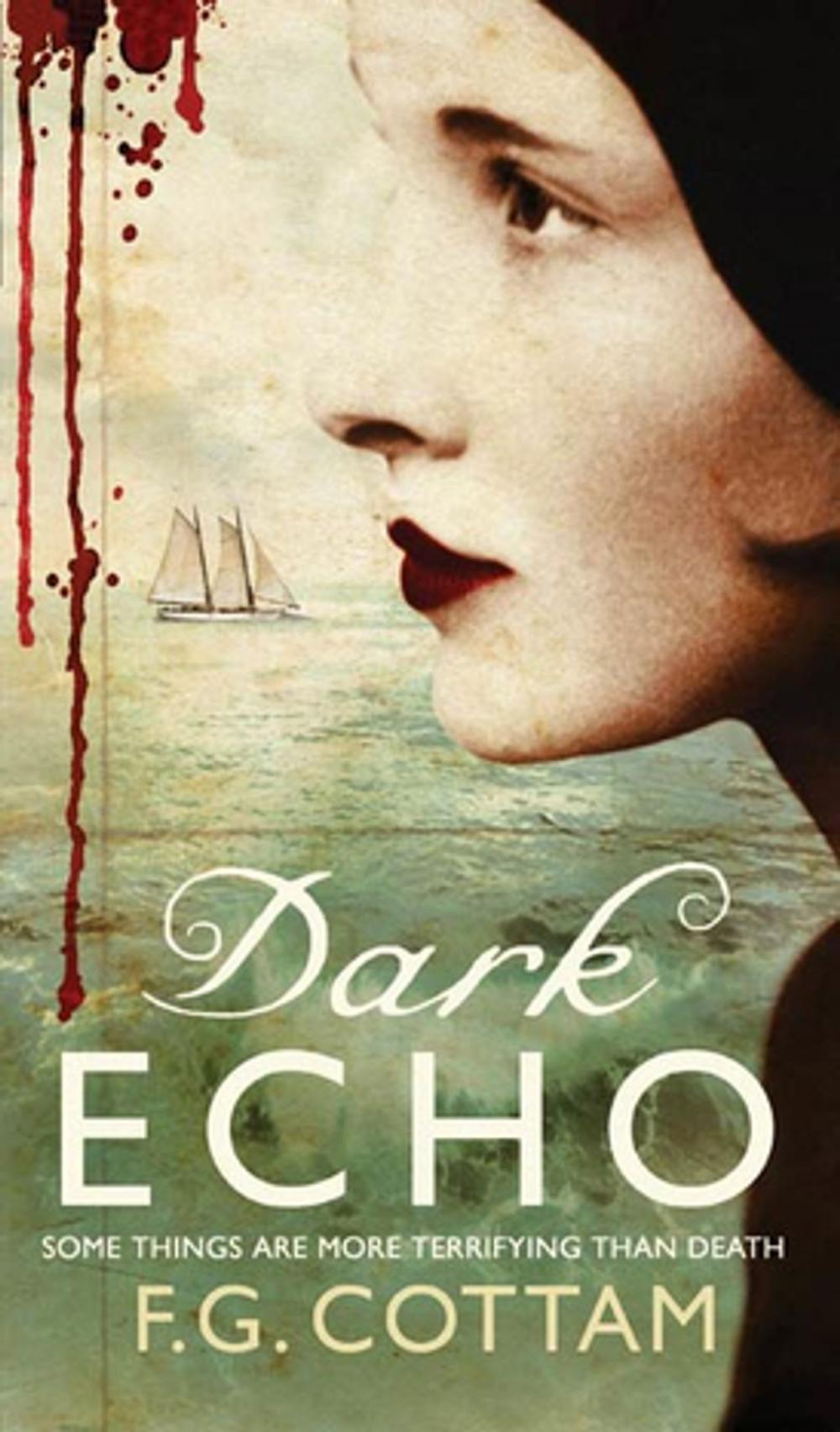 Big bigCover of Dark Echo