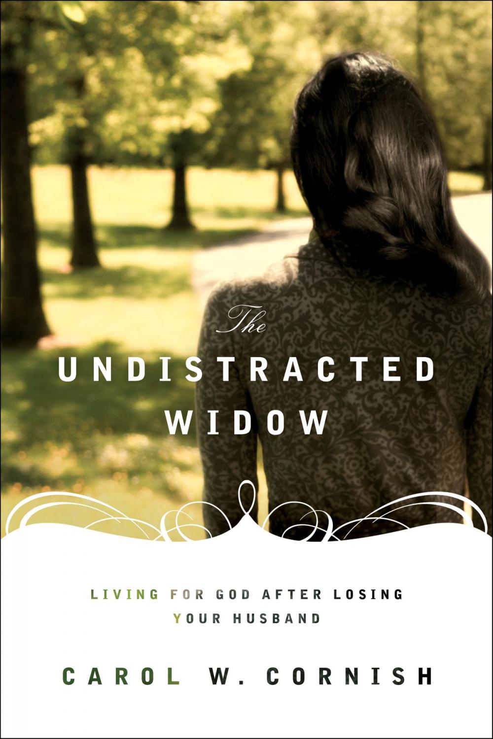 Big bigCover of The Undistracted Widow