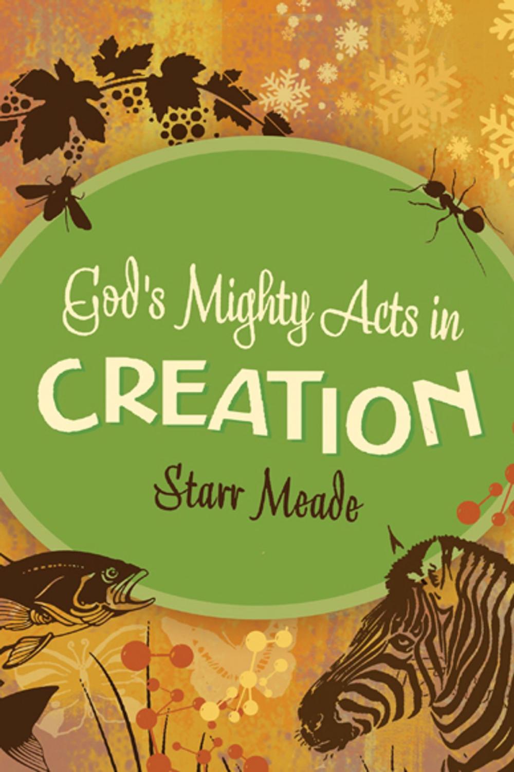 Big bigCover of God's Mighty Acts in Creation