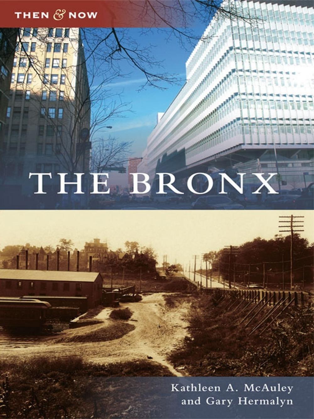 Big bigCover of The Bronx